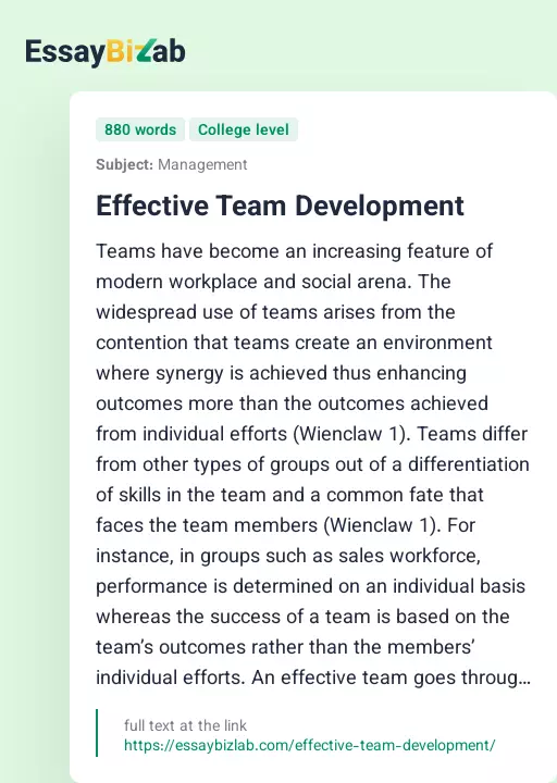 Effective Team Development - Essay Preview