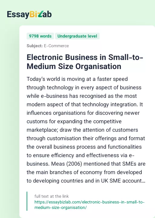 Electronic Business in Small-to-Medium Size Organisation - Essay Preview