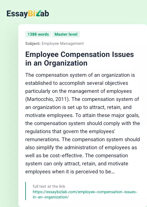 Employee Compensation Issues in an Organization - Essay Preview