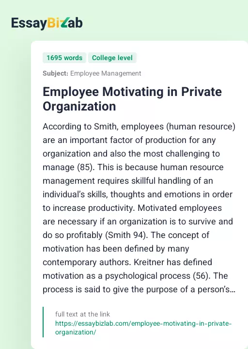 Employee Motivating in Private Organization - Essay Preview