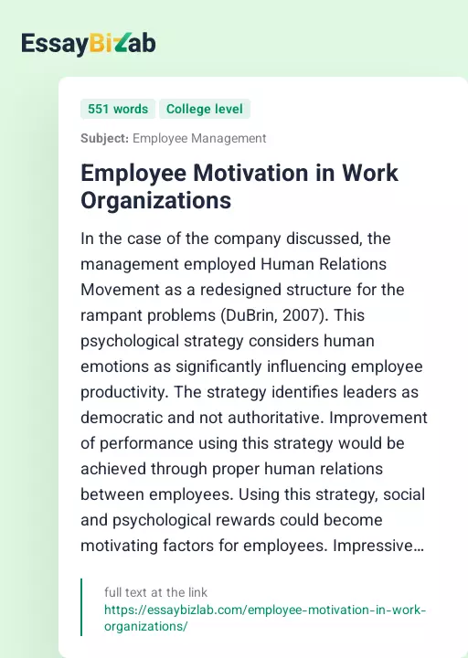 Employee Motivation in Work Organizations - Essay Preview