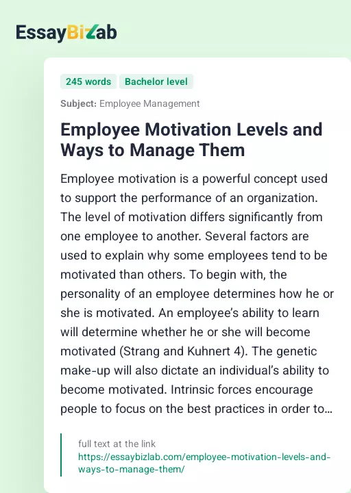 Employee Motivation Levels and Ways to Manage Them - Essay Preview