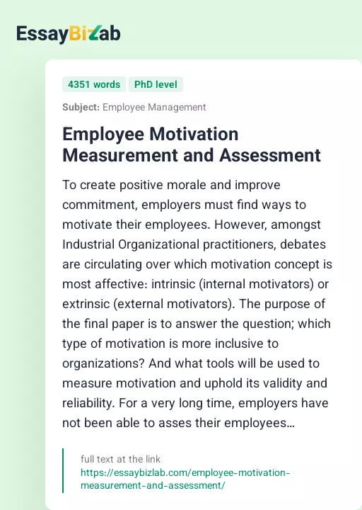 Employee Motivation Measurement and Assessment - Essay Preview