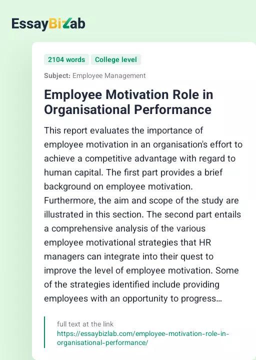 Employee Motivation Role in Organisational Performance - Essay Preview