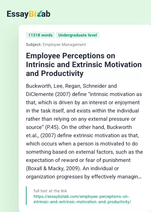 Employee Perceptions on Intrinsic and Extrinsic Motivation and Productivity - Essay Preview