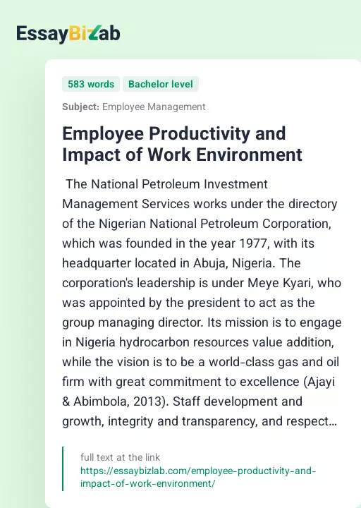 Employee Productivity and Impact of Work Environment - Essay Preview
