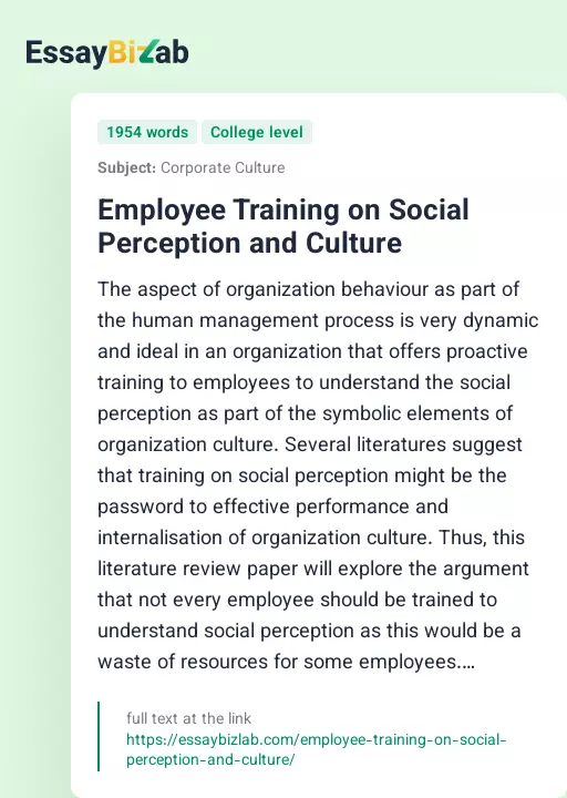 Employee Training on Social Perception and Culture - Essay Preview
