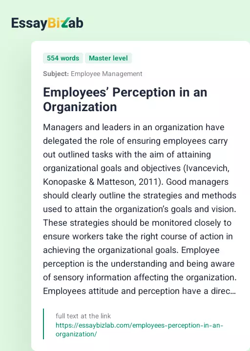 Employees’ Perception in an Organization - Essay Preview
