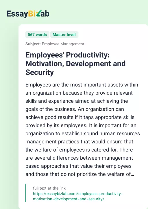 Employees' Productivity: Motivation, Development and Security - Essay Preview