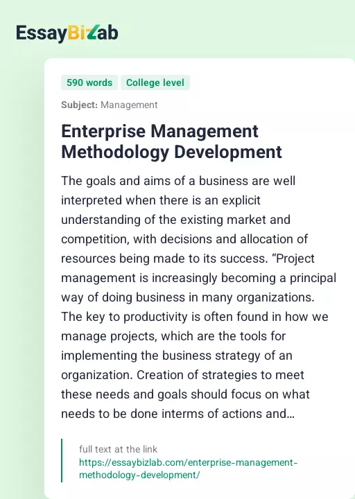 Enterprise Management Methodology Development - Essay Preview