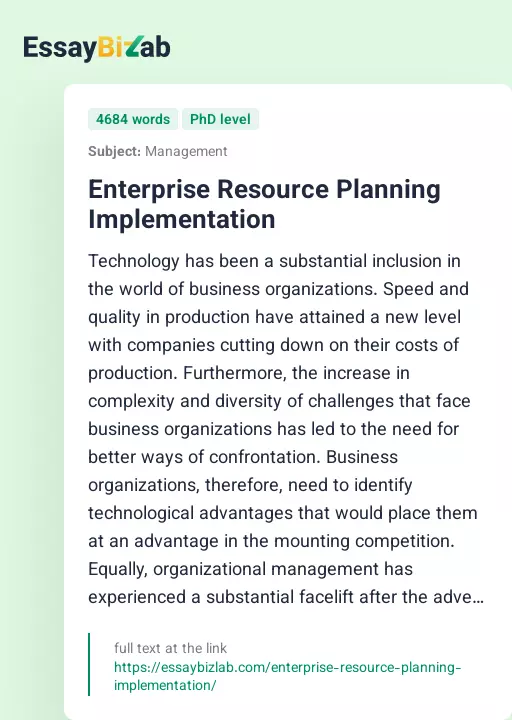 Enterprise Resource Planning Implementation - Essay Preview