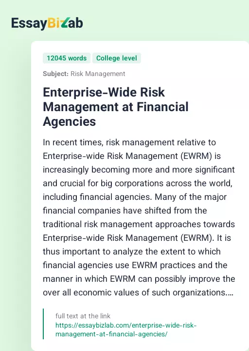 Enterprise-Wide Risk Management at Financial Agencies - Essay Preview