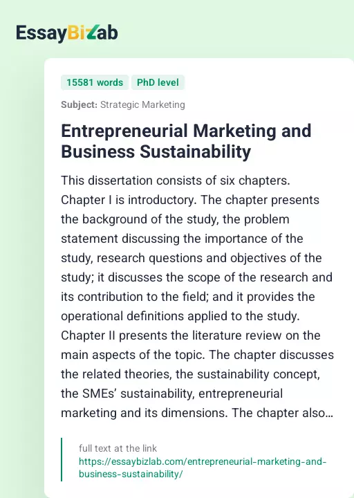 Entrepreneurial Marketing and Business Sustainability - Essay Preview