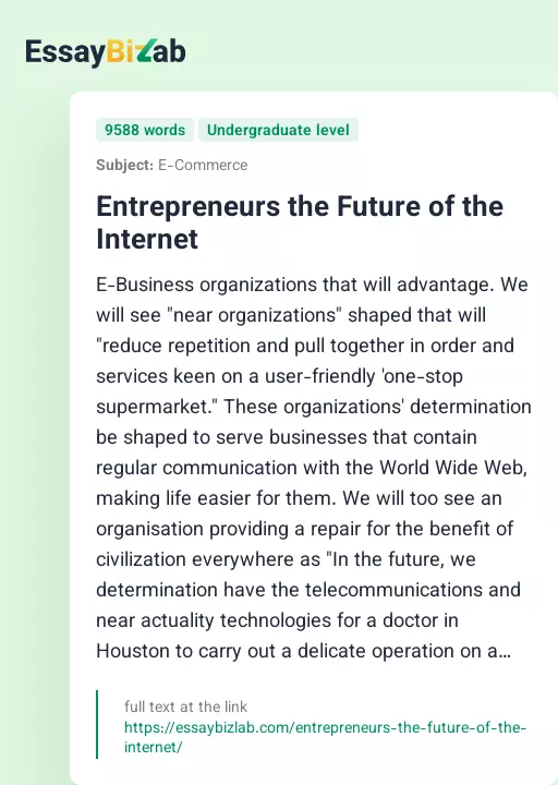 Entrepreneurs the Future of the Internet - Essay Preview