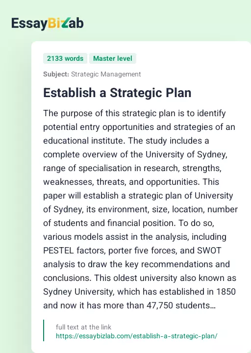 Establish a Strategic Plan - Essay Preview