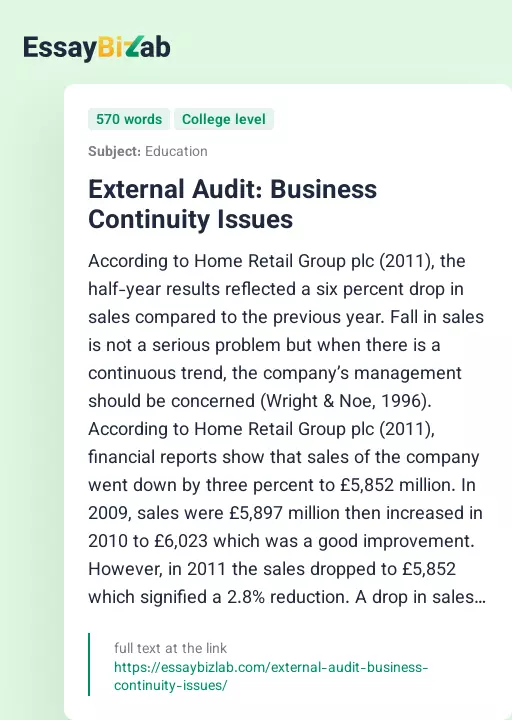External Audit: Business Continuity Issues - Essay Preview