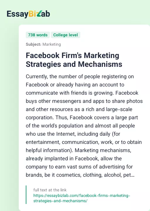 Facebook Firm's Marketing Strategies and Mechanisms - Essay Preview