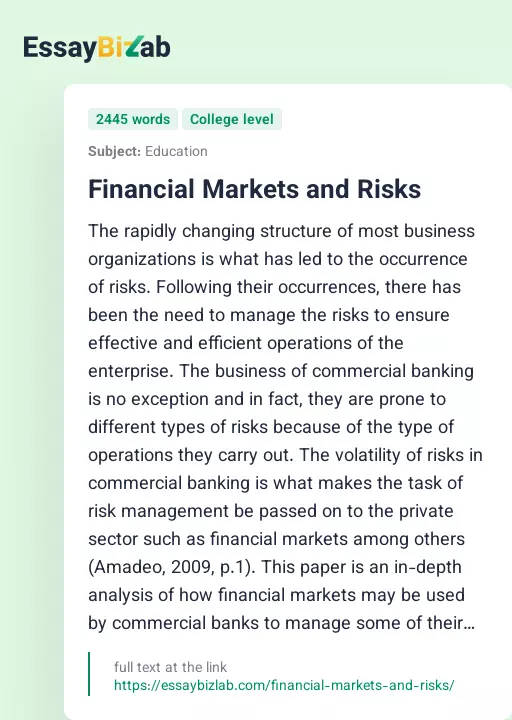 Financial Markets and Risks - Essay Preview