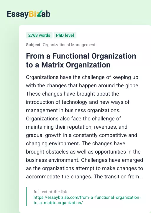 From a Functional Organization to a Matrix Organization - Essay Preview