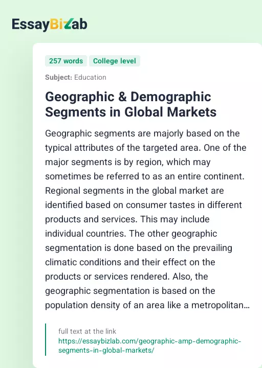 Geographic & Demographic Segments in Global Markets - Essay Preview