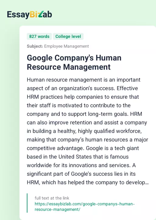 Google Company's Human Resource Management - Essay Preview