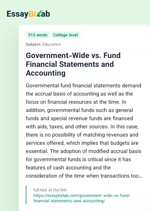 Government-Wide vs. Fund Financial Statements and Accounting - Essay Preview