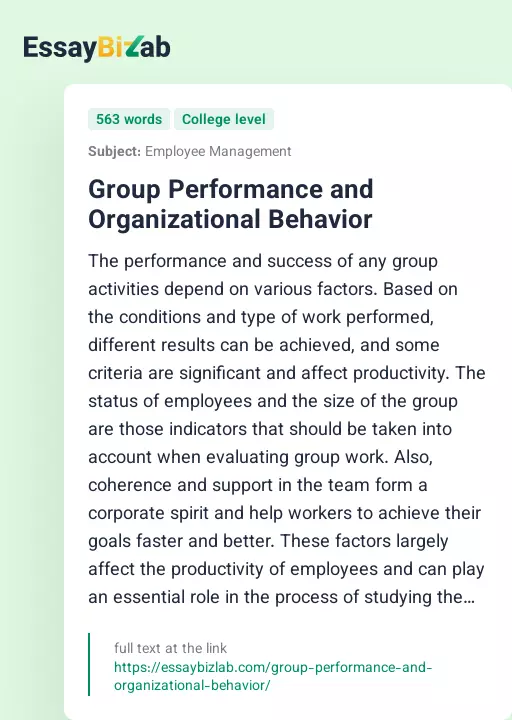 Group Performance and Organizational Behavior - Essay Preview