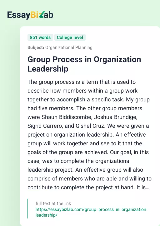 Group Process in Organization Leadership - Essay Preview
