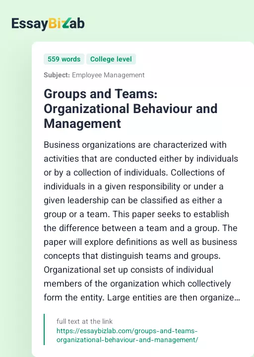 Groups and Teams: Organizational Behaviour and Management - Essay Preview