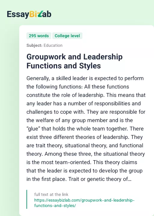 Groupwork and Leadership Functions and Styles - Essay Preview