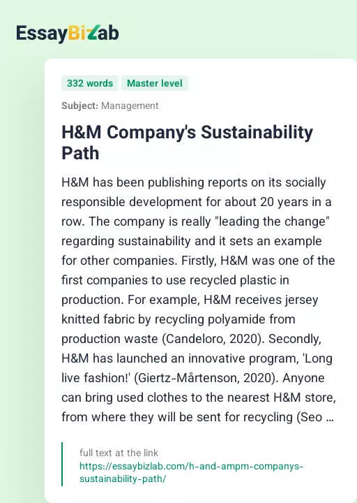 H&M Company's Sustainability Path - Essay Preview
