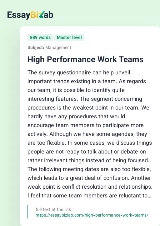High Performance Work Teams - Essay Preview