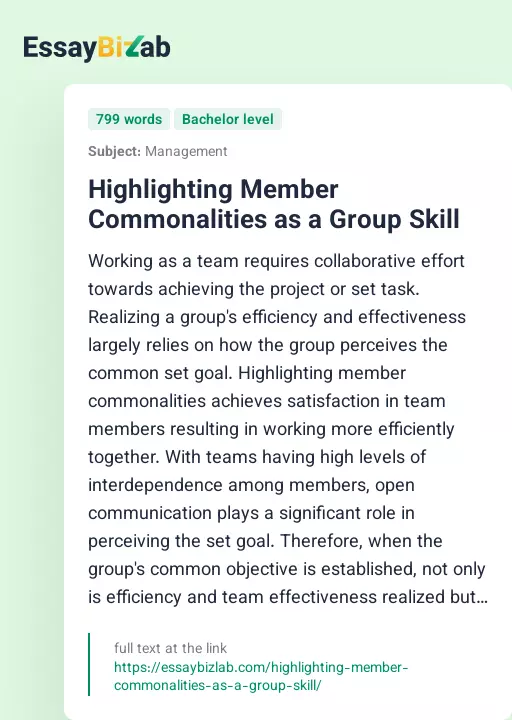 Highlighting Member Commonalities as a Group Skill - Essay Preview