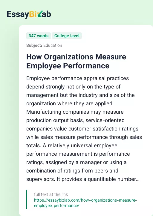 How Organizations Measure Employee Performance - Essay Preview