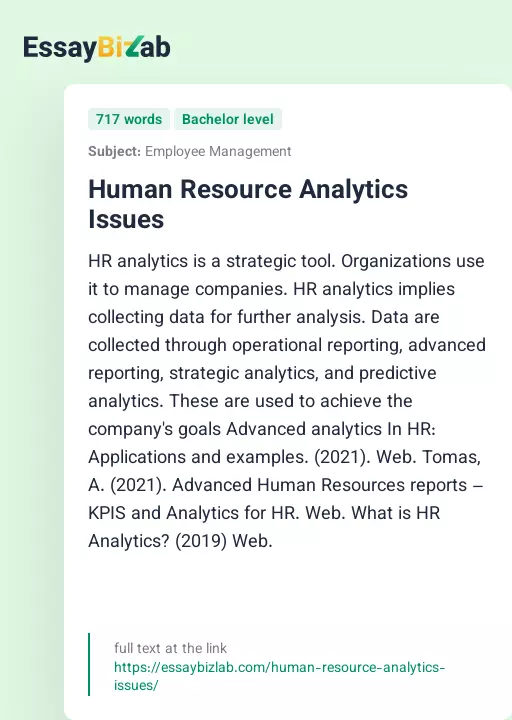 Human Resource Analytics Issues - Essay Preview
