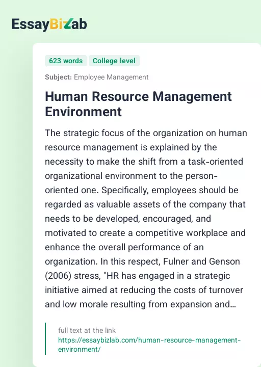 Human Resource Management Environment - Essay Preview