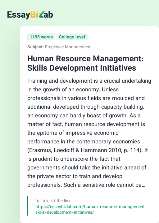 Human Resource Management: Skills Development Initiatives - Essay Preview