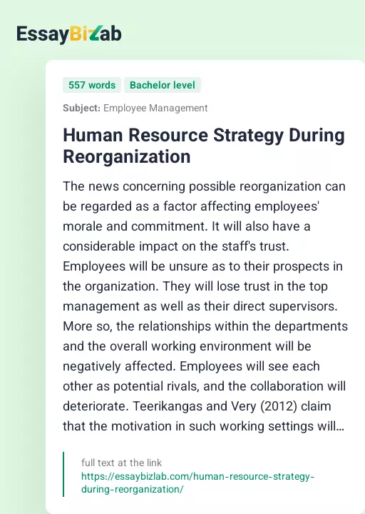 Human Resource Strategy During Reorganization - Essay Preview