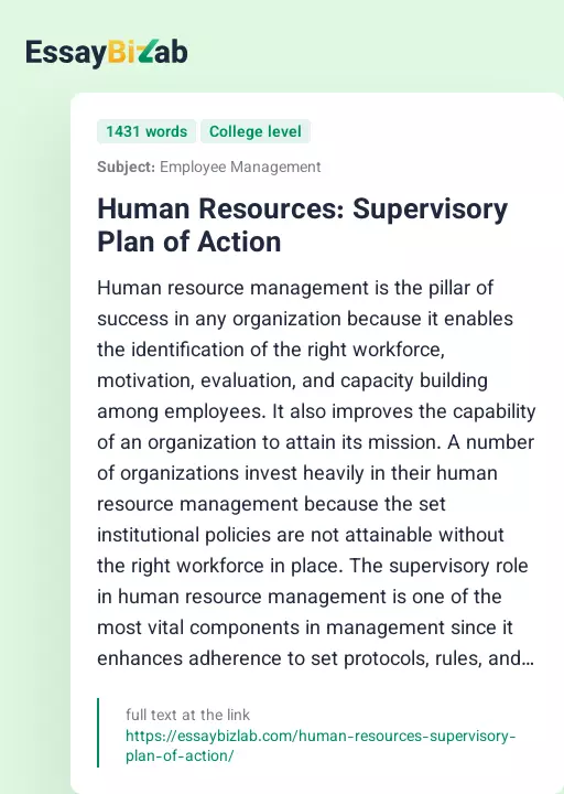 Human Resources: Supervisory Plan of Action - Essay Preview