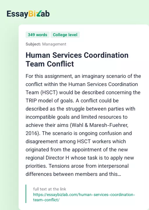 Human Services Coordination Team Conflict - Essay Preview