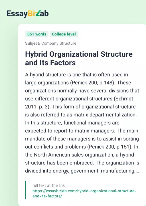 Hybrid Organizational Structure and Its Factors - Essay Preview