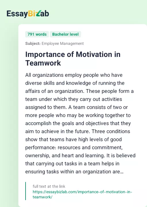 Importance of Motivation in Teamwork - Essay Preview