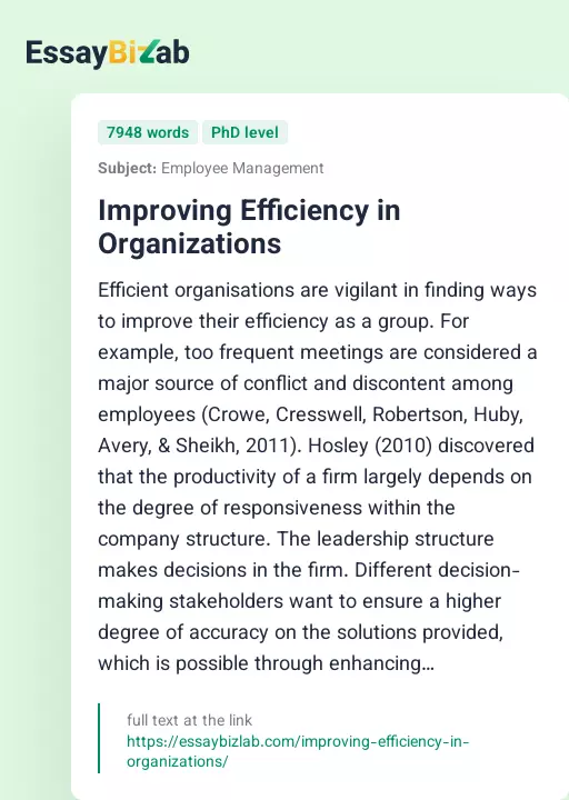 Improving Efficiency in Organizations - Essay Preview