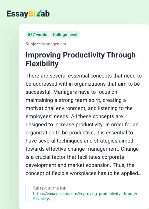 Improving Productivity Through Flexibility - Essay Preview