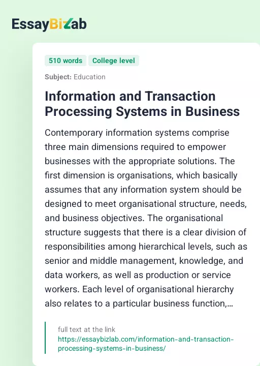 Information and Transaction Processing Systems in Business - Essay Preview