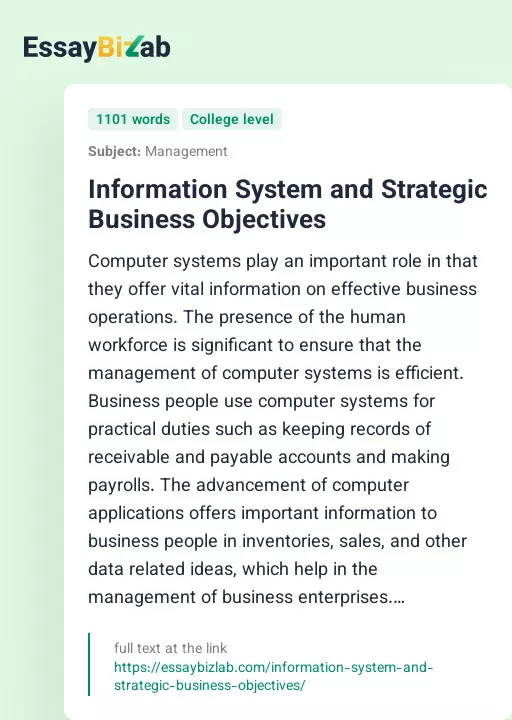 Information System and Strategic Business Objectives - Essay Preview