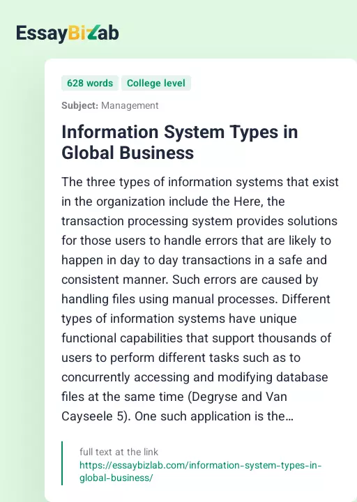 Information System Types in Global Business - Essay Preview