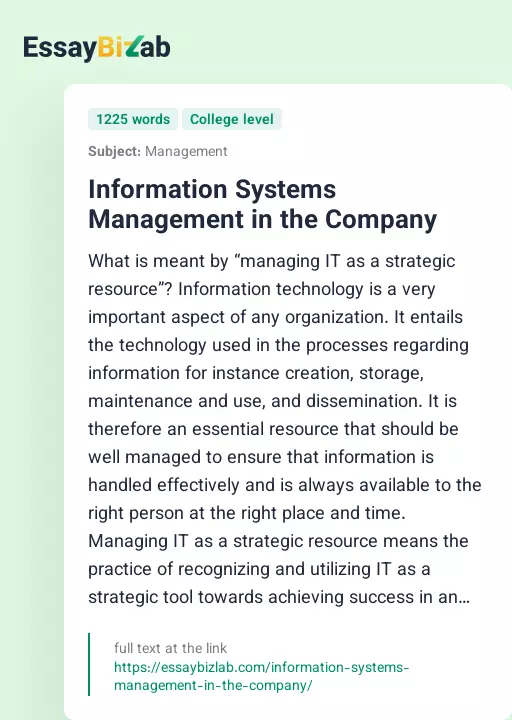 Information Systems Management in the Company - Essay Preview