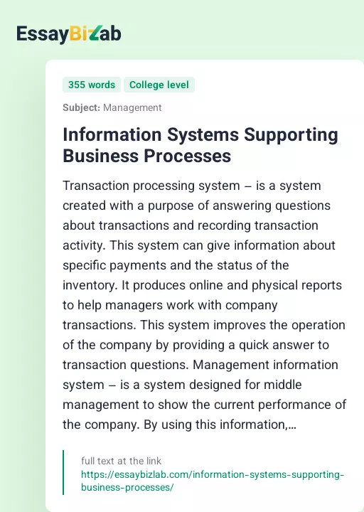 Information Systems Supporting Business Processes - Essay Preview