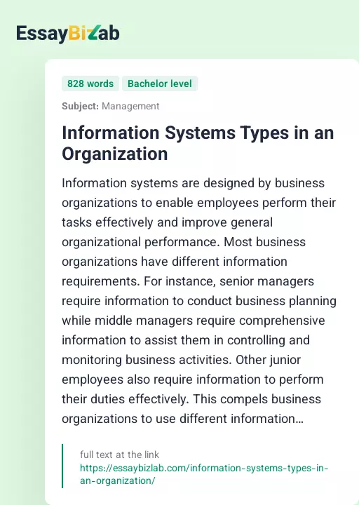 Information Systems Types in an Organization - Essay Preview